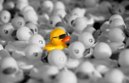 Image showing a yellow toy duck among white toy ducks - Symbolize Standing out